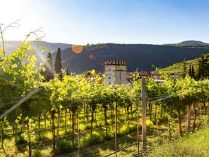 Valpolicella-Abend